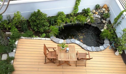 Cách nuôi cá cảnh trong bể xi măng